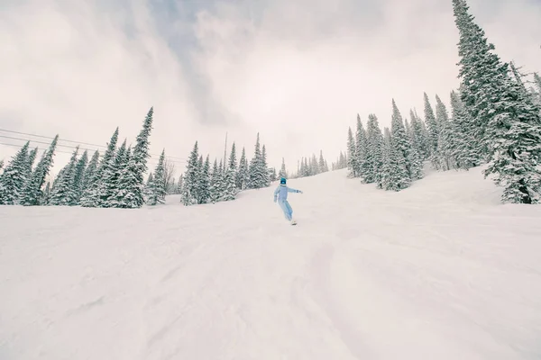 Freerider Kvinnliga Snowboardåkare Bär Snowboard Overall Ridning Vinter Snötäckt Skog — Stockfoto