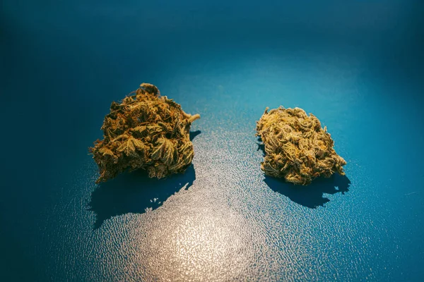 Marihuana Strain Knospen Auf Blauem Hintergrund — Stockfoto