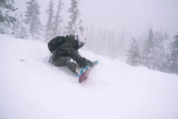 Snowboarder Vrouwtje Voor Bereiden Rijden Slecht Weer Sneeuw Bedekt Sparren — Stockfoto