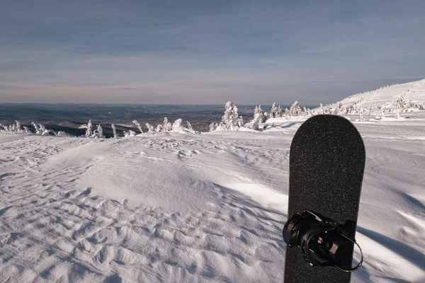 Prachtig Uitzicht Snowboard Staan Sneeuw Poeder Winter Besneeuwde Bos Heuvels — Stockfoto