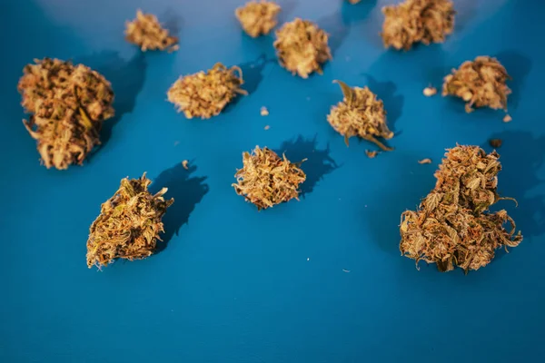 Marihuana Strain Knospen Auf Blauem Hintergrund Stockbild