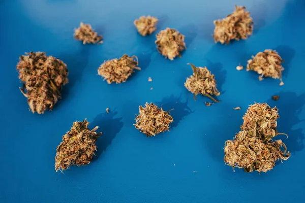 Marihuana Strain Knospen Auf Blauem Hintergrund lizenzfreie Stockfotos