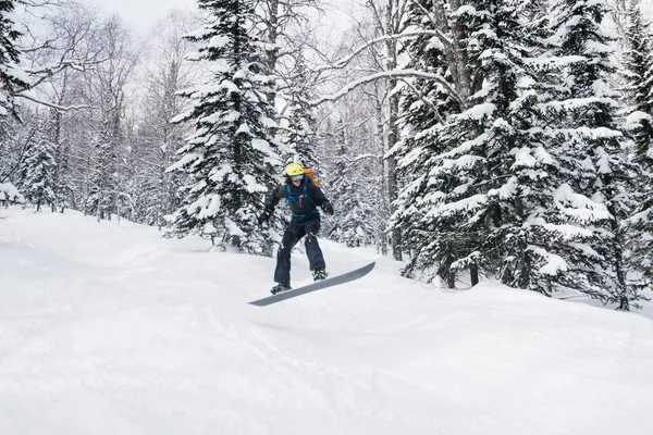 Snowboardåkare Man Hoppar Vinter Snötäckta Granskog Nysnö Pulver Freestyle Freeride — Stockfoto