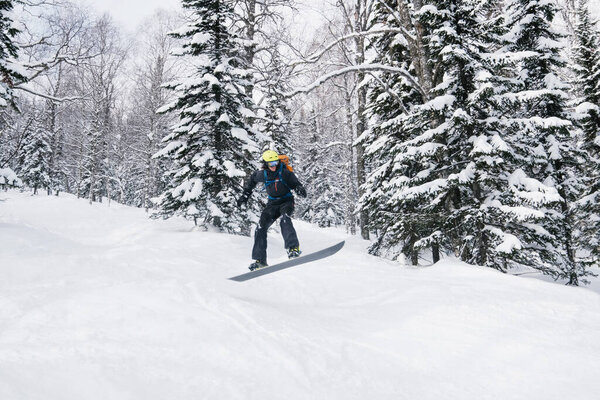 snowboarder man jumping in winter snow-covered spruce forest, fresh snow powder, freestyle freeride on sunny winter day