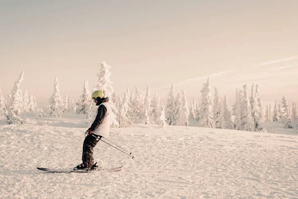 Skier Man Rijden Verse Sneeuw Tussen Besneeuwde Bomen Bos Zonnige — Stockfoto