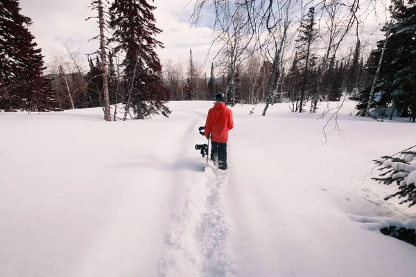 Άρρεν Snowboarder Εκμετάλλευση Σκάφους Περπάτημα Βαθύ Χιόνι Στο Δάσος — Φωτογραφία Αρχείου
