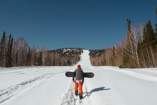 Man Snowboarder Holding Board Wandelen Diepe Sneeuw Het Bos Ski — Stockfoto