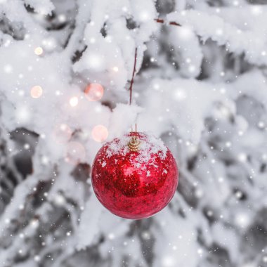 Karlı bir kış orman dalında asılı kırmızı Noel top. Mutlu Noeller ve mutlu yeni yıl Tema