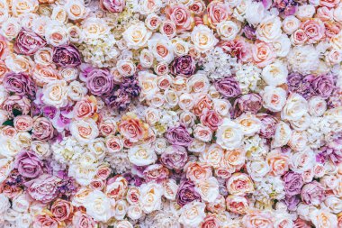 Arka plan ile şaşırtıcı kırmızı ve beyaz gül, düğün dekorasyon, el yapımı çiçek duvar