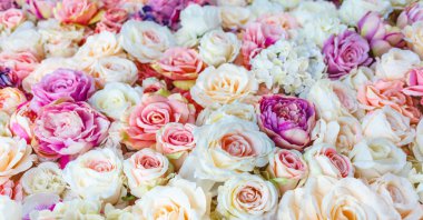 Arka plan ile şaşırtıcı kırmızı ve beyaz gül, düğün dekorasyon, el yapımı çiçek duvar