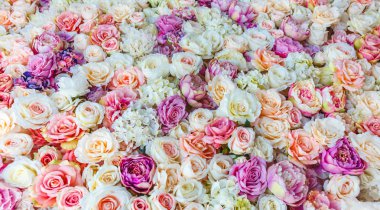 Arka plan ile şaşırtıcı kırmızı ve beyaz gül, düğün dekorasyon, el yapımı çiçek duvar