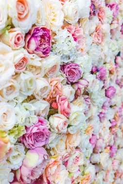 Arka plan ile şaşırtıcı kırmızı ve beyaz gül, düğün dekorasyon, el yapımı çiçek duvar