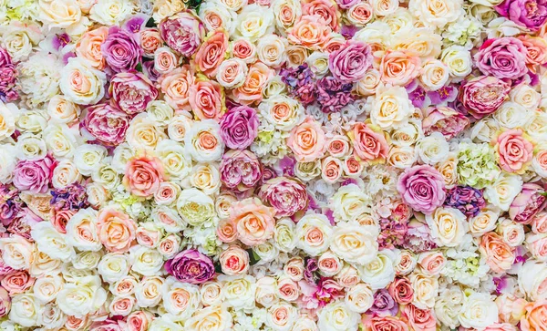 Bloemen muur achtergrond met geweldige rode en witte rozen, bruiloft decoratie, handgemaakte. — Stockfoto