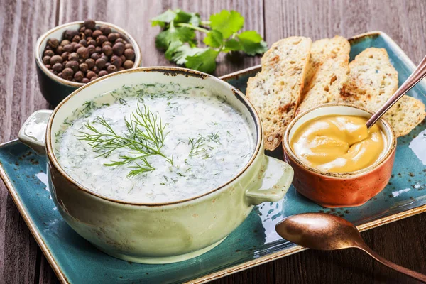 Soğuk çorba veya yaz yoğurt turp, salatalık, dereotu, otlar ve koyu ahşap arka plan üzerinde kraker. Okroshka. Ev yapımı yemek. Maddeler tablosundaki. Üstten Görünüm — Stok fotoğraf