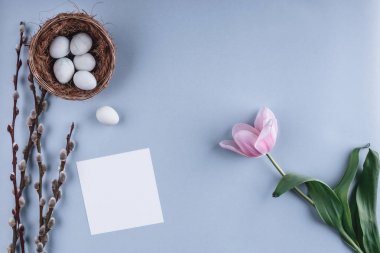 Paskalya yumurta yuva ve Lale çiçek bahar arka plan üzerinde. Üstten Görünüm kopya alanı ile. Mutlu Paskalya kartı.