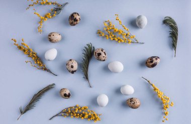 Paskalya yumurtaları arka plan bahar çiçekleri ile desen. Üstten Görünüm kopya alanı ile. Mutlu Paskalya kartı