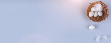 Paskalya yumurta yuva ve bahar çiçek tatil arka plan üzerinde. Üstten Görünüm kopya alanı ile. Mutlu Paskalya kartı.