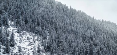 Beyaz karlı çayırları olan kış dağları. Harika bir kış manzarası. Karla kaplı dağ yamacında inanılmaz bir manzara. Turizm konsepti. Mutlu yıllar.