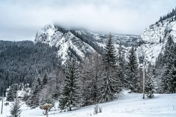 Величественные горы зимой с белыми снежными деревьями. Чудесный зимний пейзаж. Удивительный вид на заснеженные скальные горы. Путешествия — стоковое фото