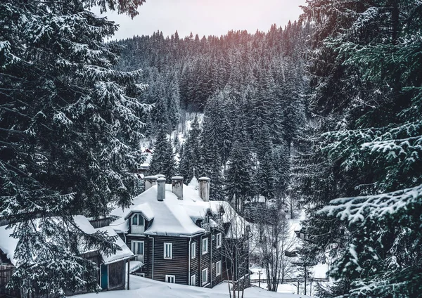 Casas de invierno en el paisaje de montaña de invierno con abetos blancos nevados. Increíble vista sobre la ladera boscosa cubierta de nieve. Concepto navideño. Montañas Cárpatas, Europa — Foto de Stock