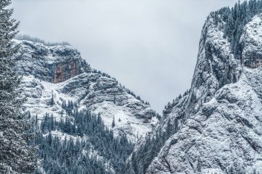 Kışın beyaz, karlı ve görkemli dağlarda. Harika bir kış manzarası. Karla kaplı kaya dağlarının muhteşem manzarası. Seyahat arkaplanı