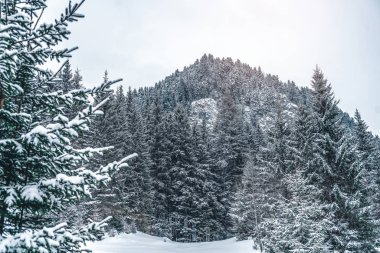 Beyaz karlı çayırları olan kış dağları. Harika bir kış manzarası. Karla kaplı dağ yamacında inanılmaz bir manzara. Turizm konsepti. Mutlu yıllar.