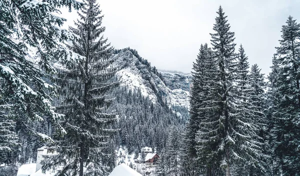 Majestuosas montañas en invierno con abetos blancos nevados. Paisaje invernal maravilloso. Increíble vista sobre montañas de roca cubiertas de nieve. Fondo de viaje — Foto de Stock