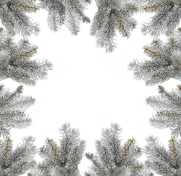 Creative frame made of Christmas fir branches on white background. Xmas and New Year greeting card, winter holiday. Flat lay, top view, harsh shadow — Zdjęcie stockowe