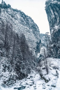 Kışın beyaz, karlı ve görkemli dağlarda. Buz gibi nehri olan harika bir kış manzarası. Karla kaplı kaya dağlarının muhteşem manzarası. Romanya 'da seyahat geçmişi