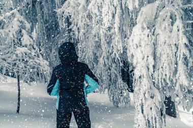 Kayak takımlı genç kız, orman dağları manzarasında karla kaplı uzun köknar ağaçlarına bakıyor. Kış tatili ve dinlenme, kış tatili