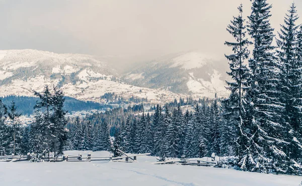 Прекрасный вид на зимние горы с еловыми деревьями, покрытыми снегом. Яркие белые ели в снежный день. Горнолыжный курорт. Зимняя открытка. С Новым годом — стоковое фото