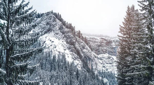 Величественные горы зимой с белыми снежными деревьями. Чудесный зимний пейзаж. Удивительный вид на заснеженные скальные горы. Путешествия — стоковое фото