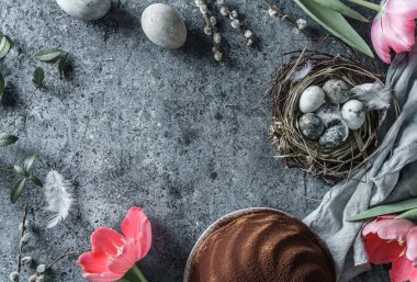 Yuvasında Paskalya yumurtaları, mavi arka planda Paskalya pastası ve bahar laleleri olan Paskalya bayramı kompozisyonun kutlu olsun. Üst manzara, düz uzanma