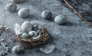 Kuş yuvasında mermer Paskalya yumurtaları, kuş tüyleri ve mavi arka planda bahar çiçekleri. Mutlu Paskalyalar