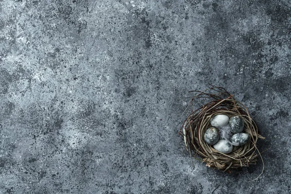 鸟巢中的复活节彩蛋，蓝色背景上有羽毛，有文字空间。 复活节快乐，尽收眼底，平躺在地上 — 图库照片