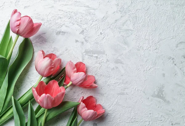 Flores de tulipas rosa no fundo branco. À espera da Primavera. Feliz cartão de Páscoa. Deitado plano, vista superior — Fotografia de Stock