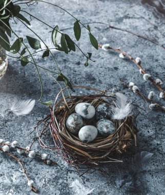 Kuş yuvasında mermer Paskalya yumurtaları, kuş tüyleri ve mavi arka planda bahar çiçekleri. Mutlu Paskalyalar, kapatıyoruz.