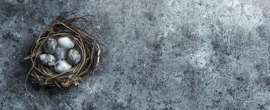 Kuş yuvasında paskalya yumurtaları, mavi arka planda tüy ve metin için boşluk. Mutlu Paskalyalar, üst manzara, düz yatak, geniş kompozisyon