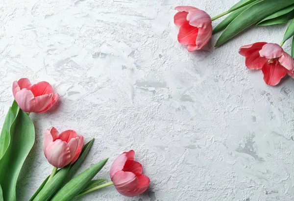 Roze tulpen bloemen op witte achtergrond. Moederkaart, 8 maart, Gelukkig Pasen. Wachten op de lente. Wenskaart. Vlakke lay, bovenaanzicht — Stockfoto