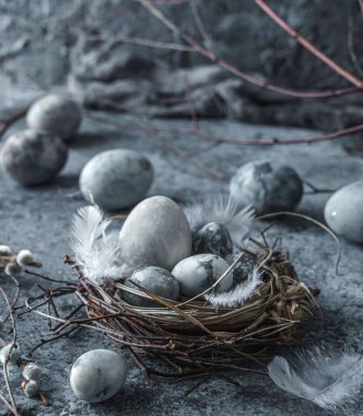 Kuş yuvasında paskalya yumurtaları ve mavi arka planda tüyleri var. Mutlu Paskalyalar, kapatıyoruz.