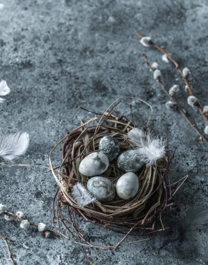 Kuş yuvasında mermer Paskalya yumurtaları, kuş tüyleri ve mavi arka planda bahar çiçekleri. Mutlu Paskalyalar, üst manzara, düz yatak