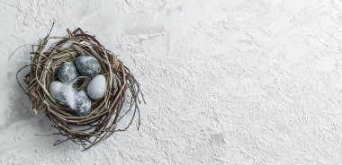 Kuş yuvasında paskalya yumurtaları, beyaz arka planda tüy ve yazı için boşluk. Mutlu Paskalyalar, üst manzara, düz yatak, geniş kompozisyon