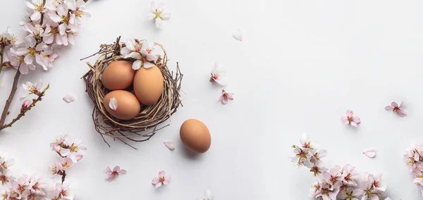 Easter eggs in nest and pink flowering sakura branches on white background. Happy Easter holiday, top view, flat lay