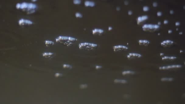 Поток кислорода пузырьков под водой — стоковое видео