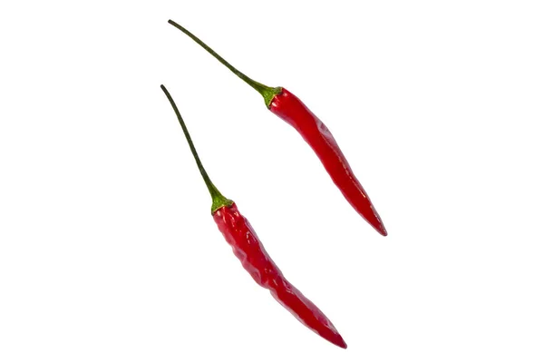 Chili vermelho duplo com caminho de recorte — Fotografia de Stock
