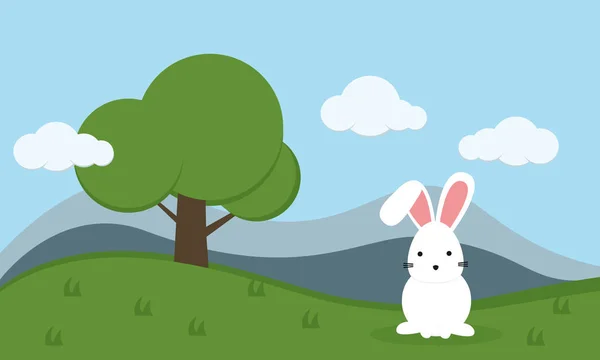 Küçük bir beyaz tavşan bahçede tek başına kal.