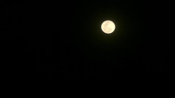 Super Lune de Sang Bleue Sur La Nuit Noire 