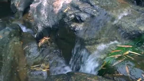Cascada Natural Río Que Fluye Través Piedras — Vídeos de Stock