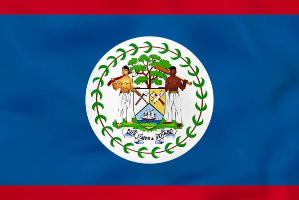 Drapeau du Belize. Belize drapeau national texture de fond . — Image vectorielle