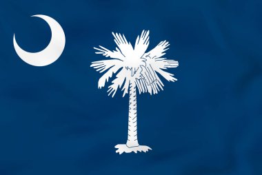 Güney Carolina dalgalanan bayrak. Güney Carolina Devlet bayrağı arka plan doku.